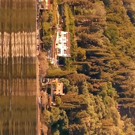 Aliki Studios Букарі Екстер'єр фото